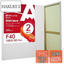 【送料無料】AUREUO 張りキャンバス セット F40 (100cmX80.3cm) 中目 100%コットン 2枚 初心者 絵画用具 芸術絵創作 現代油絵 美...