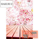 Qinunipoto 背景布 桜の花 春の風景 花見 写真 背景 母の日 撮影用 1m x 1.5m ポートレート写真 バレンタインデー撮影用 春の桜 屋外の美...