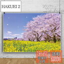 Qinunipoto 写真撮影用 背景布 2.1m x 1.5m 商品 撮影 布 写真撮影 背景 日本 春景色 青空 菜の花 桜 和風 撮影用道具 生放送 写真撮影用背景布 飾り 背景紙 背景? 布背景 装飾 小道具 ビニール