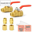TAILONZ PNEUMATIC 2箇の1/2インチ真鍮の内外糸の赤いハンドルバルブ、1/2インチの雄x母PTネジパイプは真鍮パイプを持ちます