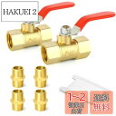 TAILONZ PNEUMATIC 2箇1/2インチ真鍮ボールバルブスイッチ、1/2インチPTネジ付き真鍮ジョイント