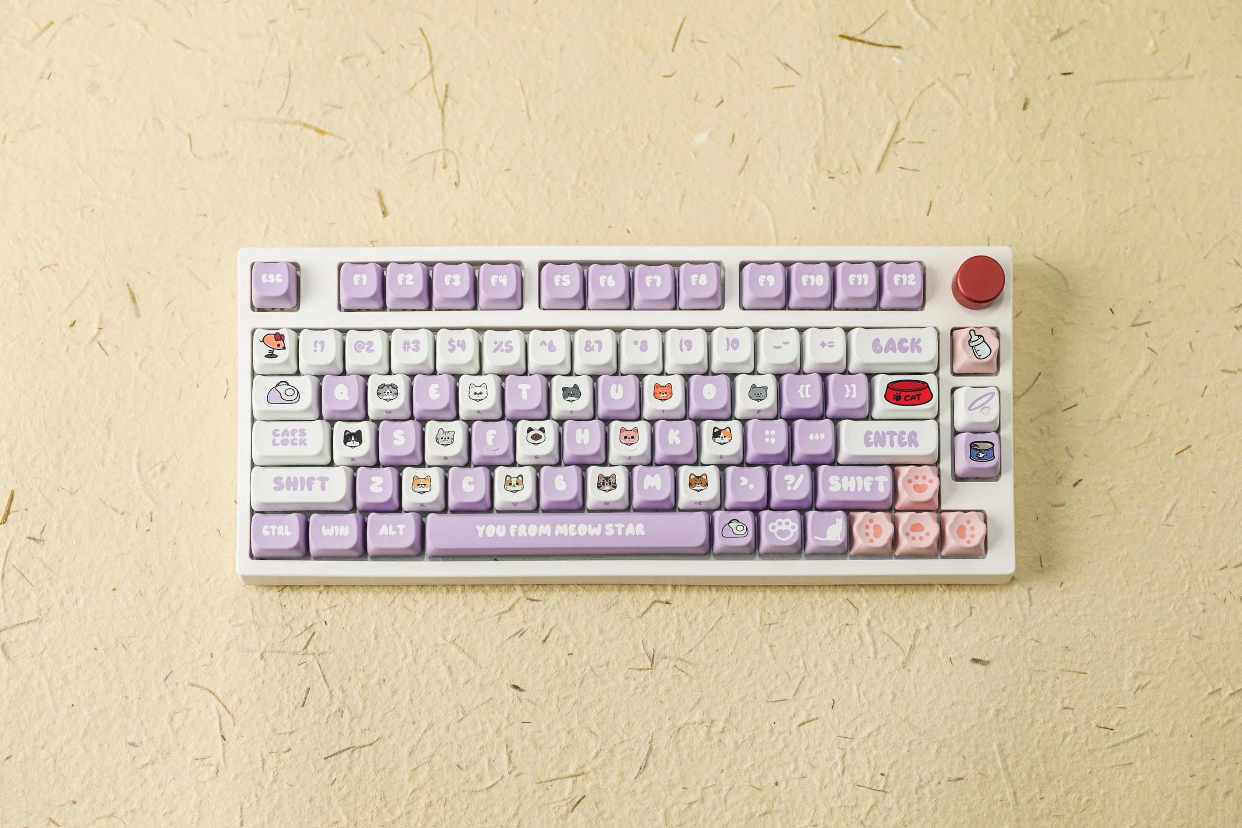 PBTAILSピービーテイルズワイヤレスゲームパッドコントローラーCHOC2.0BLUETOOTHゾゾPB-WBC02-ZZ-EC