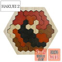 SANJAOYEE 木製テトリスパズル 木製パズル 6歳 7歳 色と形で図形感覚を育てる 小学生 女の子 男の子 子供 パズル 誕生日 プレゼント 積み木 集中...