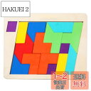 SANJAOYEE 木製テトリスパズル 木製パズル 6歳 7歳 色と形で図形感覚を育てる 15PCS 小学生 女の子 男の子 子供 パズル 誕生日 プレゼント ...