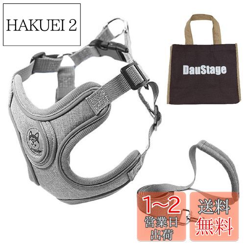 DauStage ȿǺ ϡͥ ꡼ å 4顼  淿 緿  ǭ  ڥåȥå ƹ   ȡȥХ...