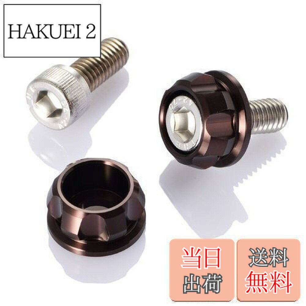 ������̵���ۥǥ��ȥ�(Daytona) PREMIUM ZONE(�ץ�ߥ��ॾ����) �Х����� �ʥ�С��ץ졼�� �ܥ�� M6x15mm ��...