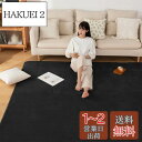 Sun Deco カーペットラグ 洗えるラグマット 絨毯 185×185cm(約2畳) 抗菌 防臭 防ダニ 滑り止め付き オールシーズン 床暖房 ホットカーペット対応 丸洗い フランネル 無地・ブラック