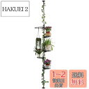 BAOYOUNI 突っ張り式 プランタースタンド フラワースタンド 園芸ラック コーナー盆栽スタンド 植物スタンド 植物棚飾り台 花台 室内 花置き棚 観葉植物...