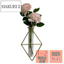 umely 壁掛け一輪挿し インテリア 花瓶 フラワー 試験管 ガラス 吊り下げ フェイクグリーン 花 装飾 (typeE)