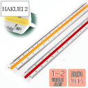 BIUTEFOR 三角スケール 30cm 縮尺定規 プラスチック製 高精度 特殊縮尺目盛 2本 プラスチック製 耐久性 1:20/1:25/1:50/1:75/...