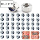 TAORAYO 50個入 六角ロックナット ナイロン ロック ナット ナイロンナット ナイロンロックナット 304ステンレス鋼 止めナット 六角ヘッド ナット ...