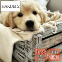 Reofrey DIY ダイヤモンドアートペインティングキット 大人用 犬用 ダイヤモンドアート 動物 フルドリル ラウンド ラインストーン クロスステッチ 刺繍 キャンバス クラフト装飾用 (40x40cm/16x16インチ)