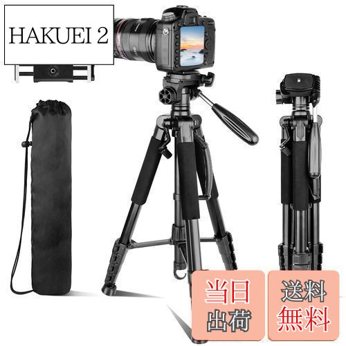 【送料無料】Aureday 190c