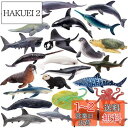 TOYMANY 24PCS海洋生物フィギュア 海の生き物フィギュアセット ミニ動物フィギュア ミニ海洋動物モデル リアルな動物模型 海洋おもちゃ 人気動物 玩具...
