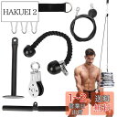 aleawol プーリーケーブルマシン 上腕三頭筋トレーナー LAT ラットプルダウン ケーブル トレーニング 機器 男女兼用 プロフェッショナル 筋肉強化 フィットネス器具 上腕三頭筋プルダウン 上腕二頭筋カール 背面 前腕部 肩 ジム ホームユース用