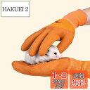 Hitasi ペットグローブ ハムスター咬傷防止手袋 噛みつき 引っかき 厚い安全手袋 保護手袋 給餌手袋 耐摩耗性 耐熱性 滑り止め狩猟用品 犬 猫 爬虫類 園芸 作業用 1 ペア
