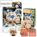 XXTOYS クリスタルジオード 水晶ジオード クリスマス プレゼント クラッキング 自分で割る 鉱石発掘 晶洞 geode 天然石 10個セット