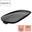 FENIFOX Bluetooth マウス- 充電式 無線 超薄型 マウス 静音 携帯 ブルートゥース Mouse 小型ミニ ポータブル Mice Laptop Computer PC Mac 用 - 黒い ブラック