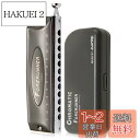 East top クロマチックハーモニカ クロマチックハーモニカ12穴 C? 12ホール48トーン 高気密加工 良い音色 耐久性 ステンレスカバー ABSケース...