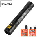 Alonefire SV003 10W 365nm 紫外線 ブラックライト 強力 UV LED ライト ポータブル USB充電式 アニサキスライト ウッド灯検査 ペット用尿検出器 レジン硬化 釣り 鑑定 真贋用 アルミニウムケース、充電器、リチウム電池 付き