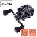 【送料無料】ダイワ(DAIWA) LIGHT SW X IC R カウンター付ベイトリール