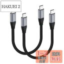 aceyoon USB C ケーブル 短い 20cm Type-C 2本 最大100W 急速充電 タイプC 20センチ 480Mbps データ同期 CtoC ケ...