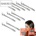 nalaina ダッカール【10本セット】前髪 散髪 髪留め 前髪クリップ クリップ メンズ ヘアクリップ ワニ口クリップ 美容師プロ用 美容業界 DIY 手芸...