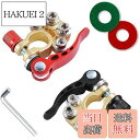 【送料無料】LIKENNY バッテリーターミナルコネクタ 自動車用バッテリーターミナル 2個入り 錆び防止特殊メッキ仕上げ 交換用 クイックリリース ミナル端子...