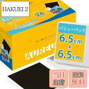 【送料無料】AUREUO ミニ 張りキャンバス 裏面磁石付き セット 6.5CM x 6.5CM (2.5x2.5インチ) 中目 100%コットン 24枚 初心...