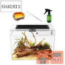 Reptile Growth 爬虫類 ケージ 透明 爬虫類ケージ 飼育容器 小動物用 カメ亀 タンク 両生類用飼育ケース 飼育ボックス 31*19*24cm, カメ、クモ、カエル、ゲッコ、カマキリ、ヘビ、サソリ、庵クラブ