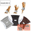 Luxja 犬用マナーベルト 男の子 メッシュ 防水 伸縮性 3点セット マーキング お漏らし オシッコ対策 お出かけ しつけ 介護用(L,黒+グレー+コーヒー...
