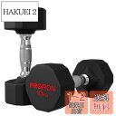 PROIRON 鋼 ダンベル だんべる 10kg 2個セット 鉄アレイ ダンベル ?? dumbelll set 家庭用および商業用に適しています