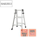 【送料無料】長谷川工業(Hasegawa) アルミ軽量はしご兼用脚立 天板トレー付 (81cm) RC-09c (10940)