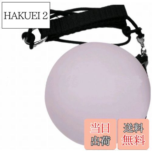 【送料無料】COCOIt's LED Poi ポイ 2個セット 色変わり レインボー イルミネーション ジャグリング