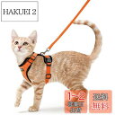Rabbitgoo 猫 ハーネス リード セット 犬猫兼用 超小型犬 小型犬 抜けない ソフト胸あて 軽量 足を上げず装着完成 サイズ調節可 夜反射 通気メッシ...