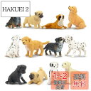 TOYMANY 12PCSミニ犬フィギュア ミニ動物フィギュア 動物玩具セット 犬モデル リアルな動物模型 犬おもちゃ 人気動物 誕生日プレゼント クリスマス ...