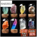 HIGHAWK岩石標本 天然石 ガラスカバー 鉱石 防塵 置物 オーナメント 展示 標本ボックス コレクション 地質科学 装飾品 小物(8セットC)