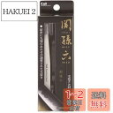 【送料無料】貝印 KAI 関孫六 毛抜き 先斜 収納ケース付き シルバー ピンセット用 ムダ毛 HC1806
