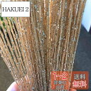 【送料無料】HYSENM ストリングカーテン ひものれん 2枚入り 100x200cm 11色選べる 色褪せなく 目隠し ラメ入り 間仕切り プライバシー確保 キラキラ光る 高密度 インテリア, シャンペン 100x200cm
