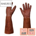 【送料無料】TARATI ガーデングローブ ロング ガーデニング 手袋 レディース メンズ 手袋 作業用 耐熱 耐摩耗 園芸用手袋 長袖 前腕保護 植栽手袋 ト...