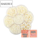 Hitasi 半円パール 3100粒 半球パール ABS パールストーン パールスカボション 2/3/4/5/6/8/10Mm 光沢 半球型 ネイルアート 衣類...