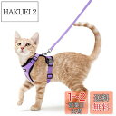Rabbitgoo 猫 ハーネス リード セット 抜けない ソフト胸あて 軽量 超小型犬 小型犬 猫 散歩 用 ハーネス 胴輪 足を上げず装着完成 サイズ調節可...
