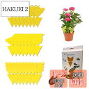 【送料無料】捕虫シート、防虫シート、粘着シート、粘着性、防虫用品、24枚セット 、害虫トラップ粘着紙-黄色、粘着トラップ、防虫トラップ、トラップ粘着シート、無臭...