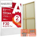 AUREUO 張りキャンバス セット F30 (91.0cmX72.7cm) 中目 100%コットン 2枚 初心者 絵画用具 芸術絵創作 現代油絵 美術装飾 水...