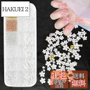 Coollooda ネイルパーツ 花 ネイルアート 立体 お花 ブリオン 半円パール ジュエリーパーツ ネイルデコパーツ ビーズ フラワー パーツ ホワイト 金属粒 3Dネイルアートデコレーション