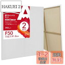 AUREUO 張りキャンバス セット F50 (116.7cmX91cm) 中目 100%コットン 2枚 初心者 絵画用具 芸術絵創作 現代油絵 美術装飾 水彩...