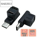 Leehitech USB C 分岐アダプター 10Gbps データ転送 直角 L字型 USB C オス to (USB 2.0 C メス+ USB 3.1 C...