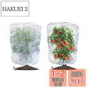【送料無料】LIANHATA 防虫ネット 2個セット 植物保護カバー メッシュ巾着式 防鳥ネット 虫よけカバー 野菜網 鳥対策 通気性 虫鳥除け網 鉢植え用 野菜栽培 菜園プランター用 (80*80cm)