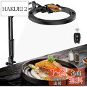LUXSURE リングライト アーム 撮影用ライト 俯瞰撮影 スマホスタンド ライト付き 10インチ スマホ撮影スタンド 手元撮影用スマホスタンド 卓上 スマホ 撮影 ライト ring light 撮影 照明 スタンド USB給電 真上から撮影スマホスタンド 料理 撮影/配信 ライト/動画撮影/女