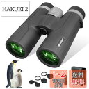UBeesize 双眼鏡 10倍42x12 HD高倍率 42mm口径【視覚体験へのこだわり】防振 Bak4搭載 FMC 本格的 高透過率 ライブ/コンサート/野...